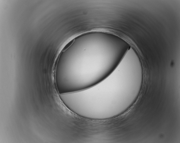 X0000115660908200911120940