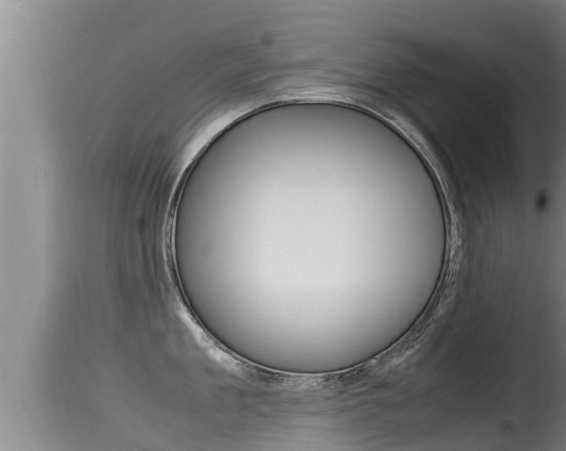 X0000115660909200911120940