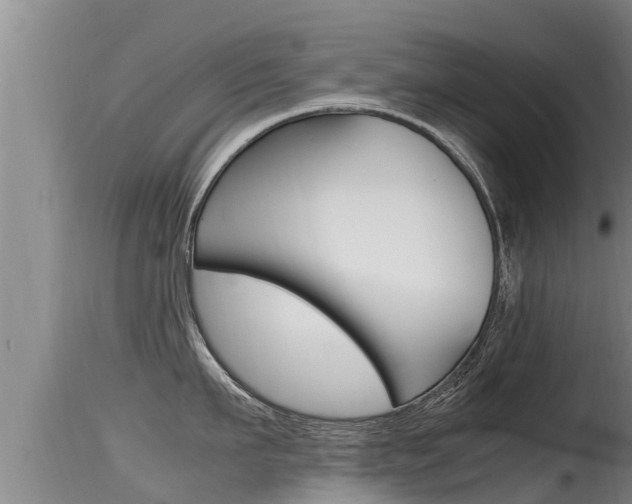 X0000115660911200911120940
