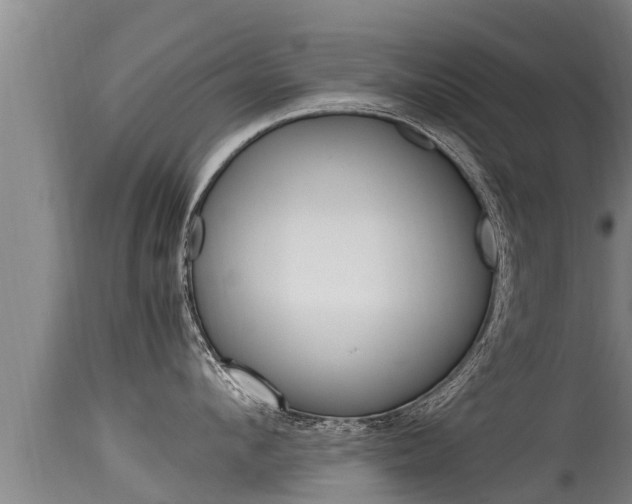 X0000115660912200911120940
