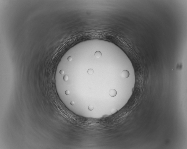 X0000115660913200911120939