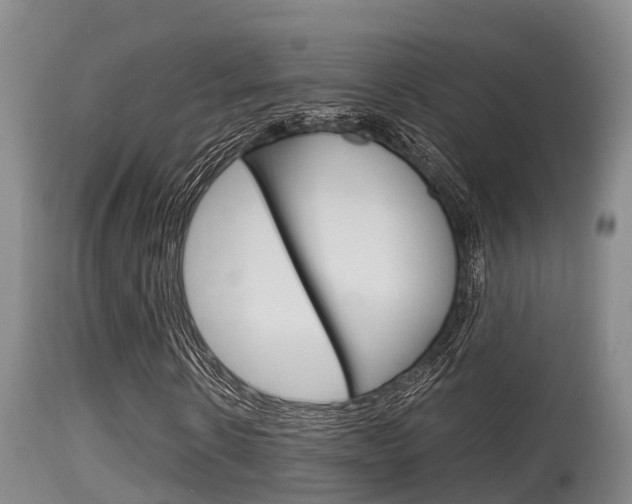 X0000115660914200911120939