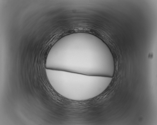 X0000115660915200911120939