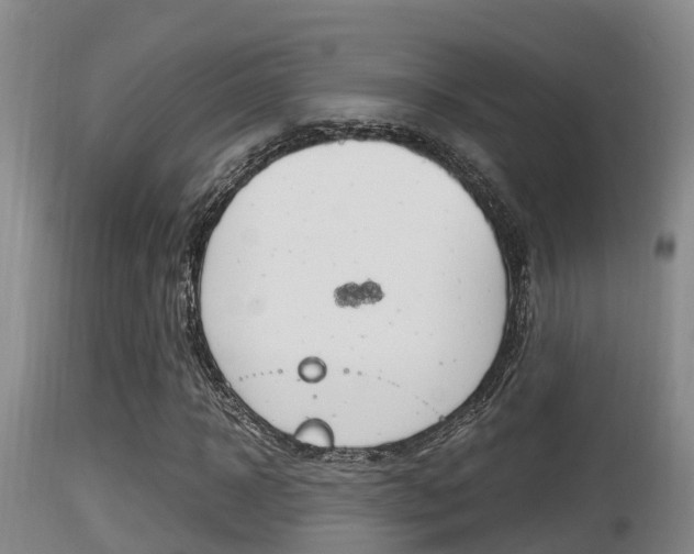 X0000115660918200911120939