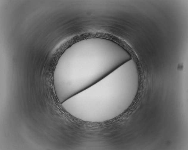 X0000115660919200911120939
