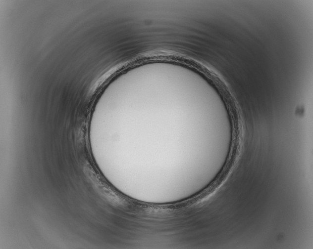 X0000115660921200911120939