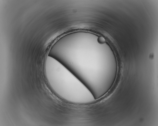 X0000115660922200911120939