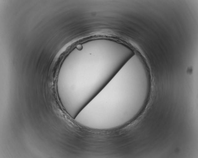 X0000115660923200911120939