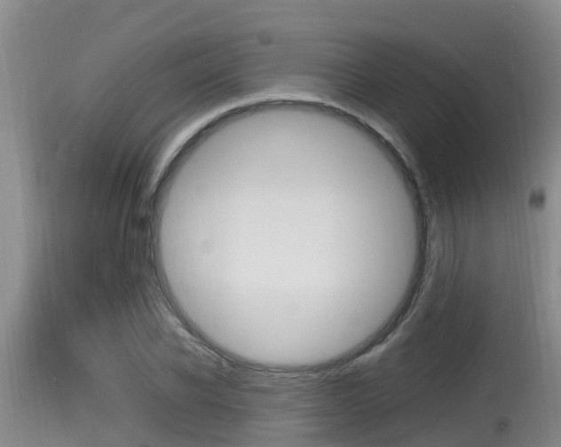X0000115660926200911120939