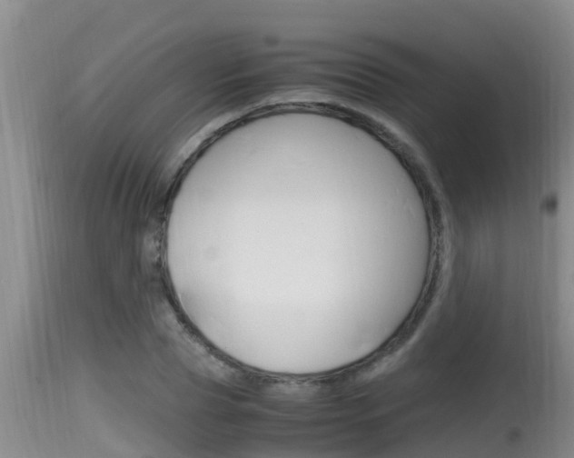 X0000115660929200911120939