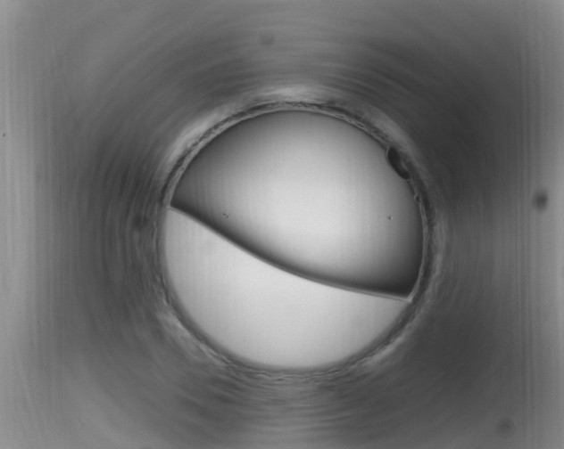 X0000115660930200911120939