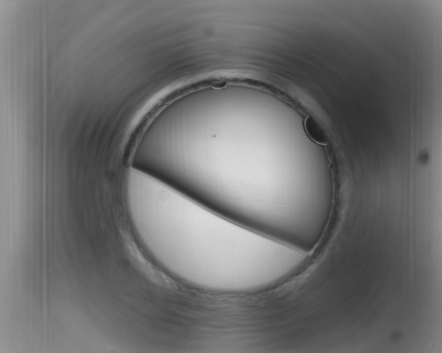 X0000115660934200911120939