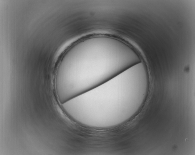 X0000115660935200911120939