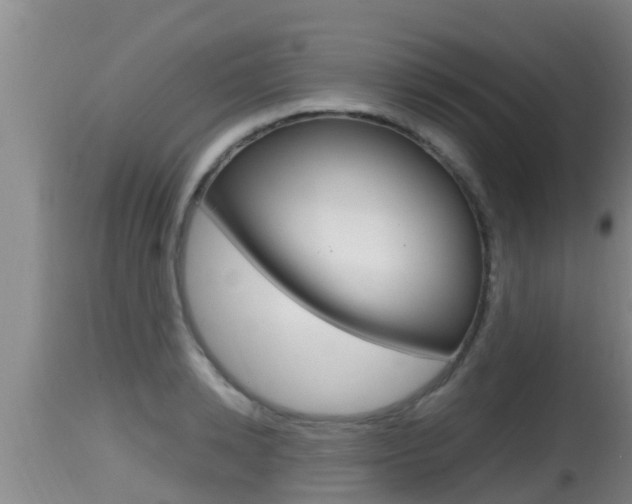 X0000115660942200911120939