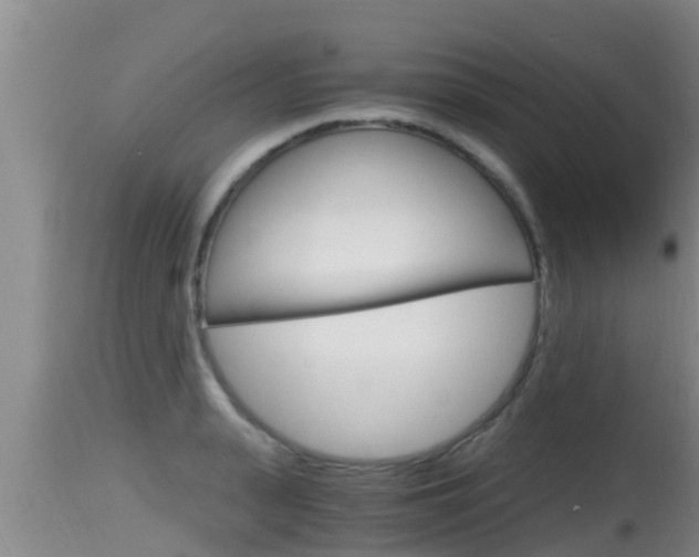 X0000115660943200911120939
