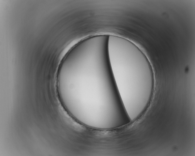 X0000115660949200911120940