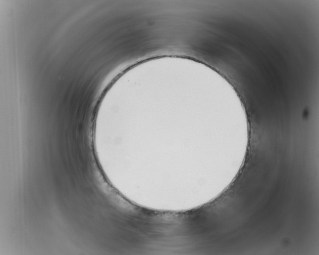 X0000115660950200911120940