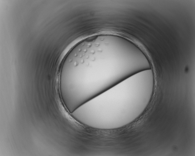 X0000115660955200911120940