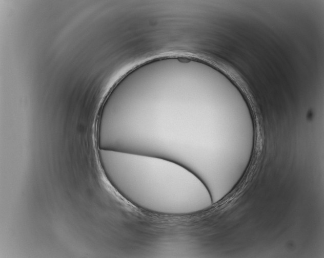 X0000115660958200911120940