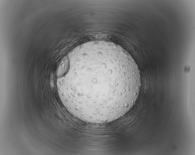 X0000115660962200911120939