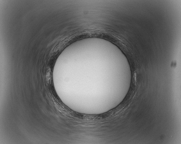 X0000115660963200911120939