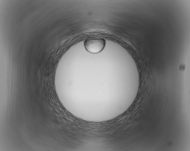 X0000115660965200911120939