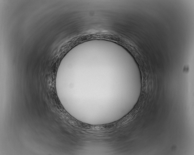 X0000115660966200911120939