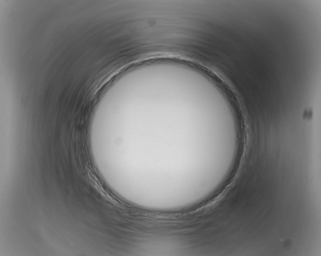 X0000115660969200911120939