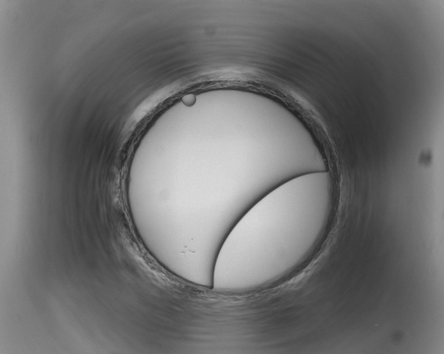 X0000115660970200911120939
