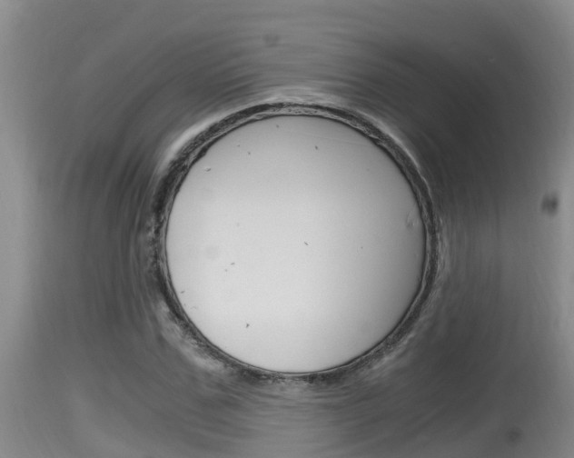 X0000115660971200911120939