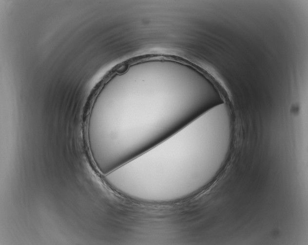 X0000115660972200911120939