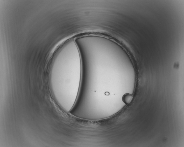 X0000115660975200911120939