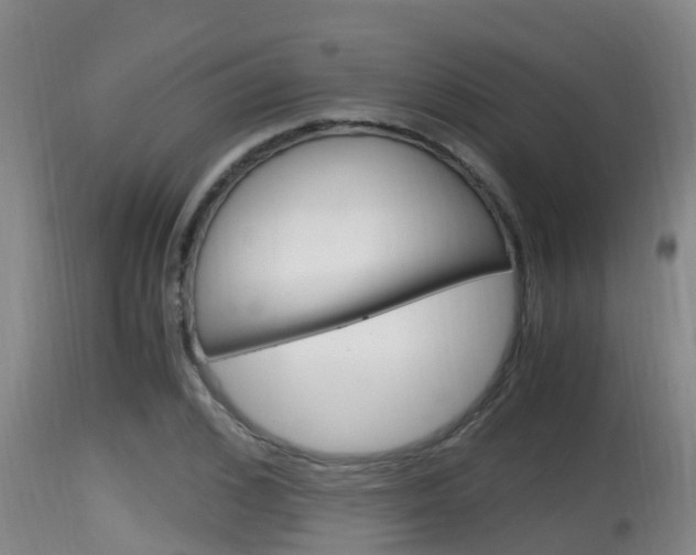X0000115660976200911120939