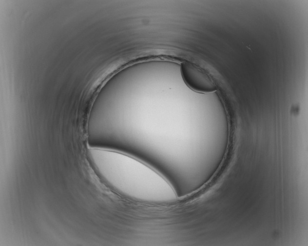 X0000115660977200911120939