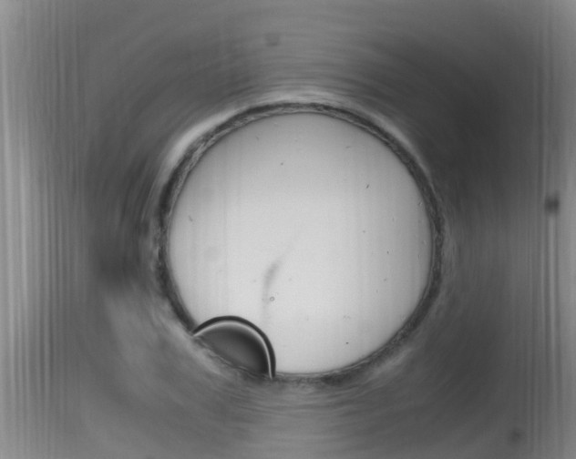 X0000115660979200911120939