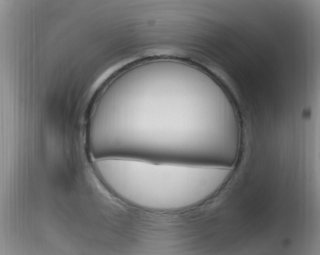 X0000115660983200911120939