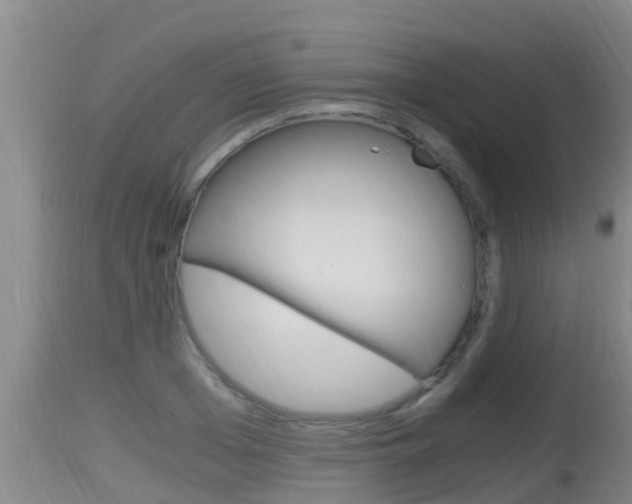 X0000115660985200911120939