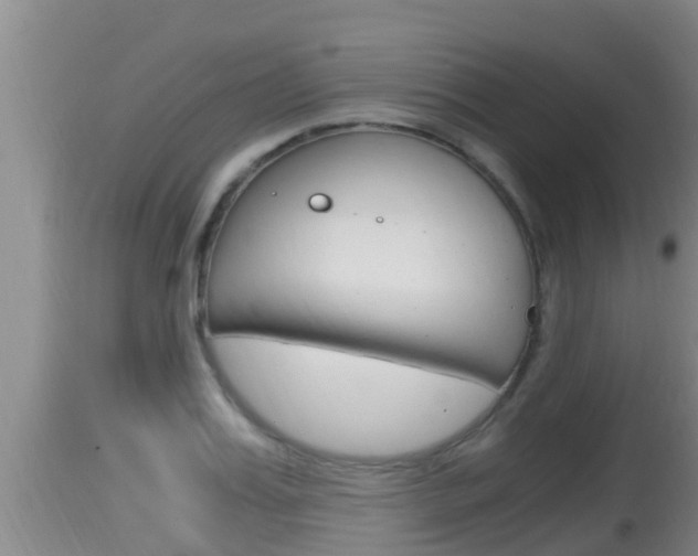 X0000115660987200911120939