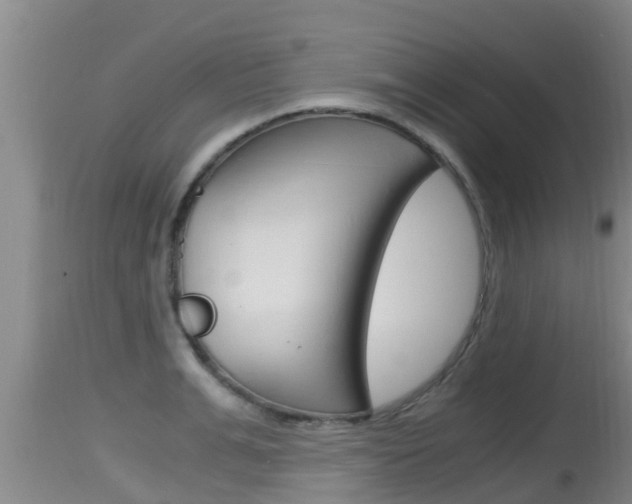 X0000115660991200911120939