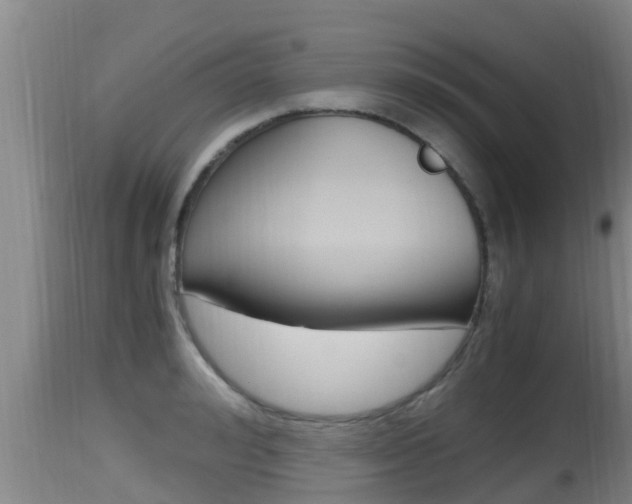 X0000115660992200911120939