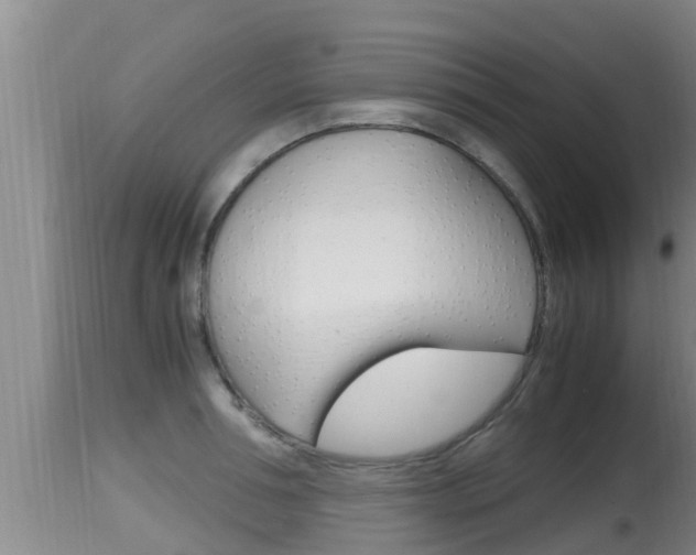 X0000115660994200911120939