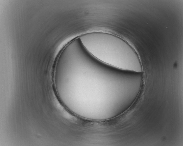 X0000115660995200911120939