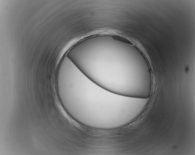 X0000115660997200911120939