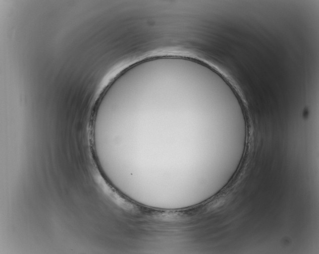 X0000115660998200911120939