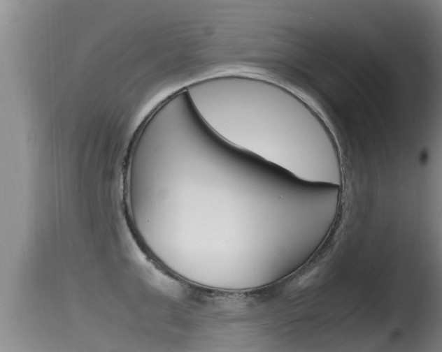 X0000115660999200911120938