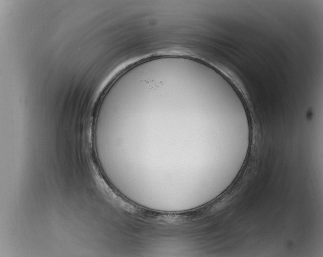X0000115661000200911120938