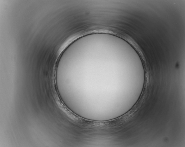 X0000115661002200911120938