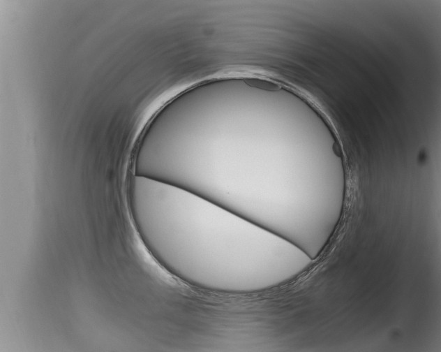 X0000115661003200911120938