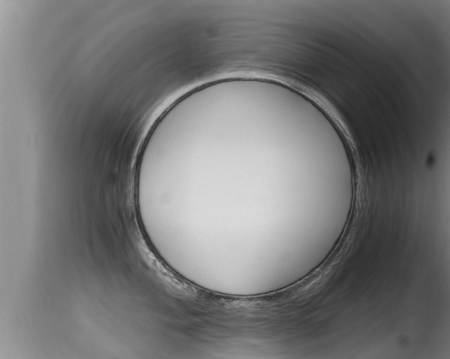 X0000115661004200911120938