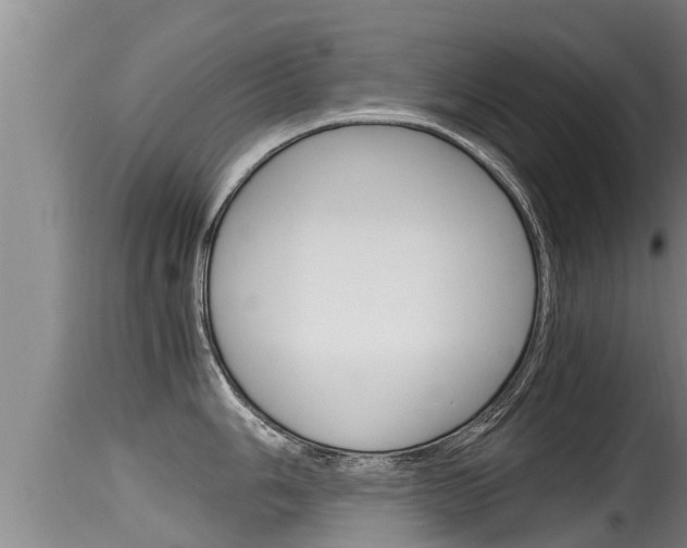 X0000115661006200911120938